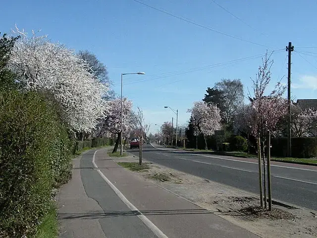 A1309 Road