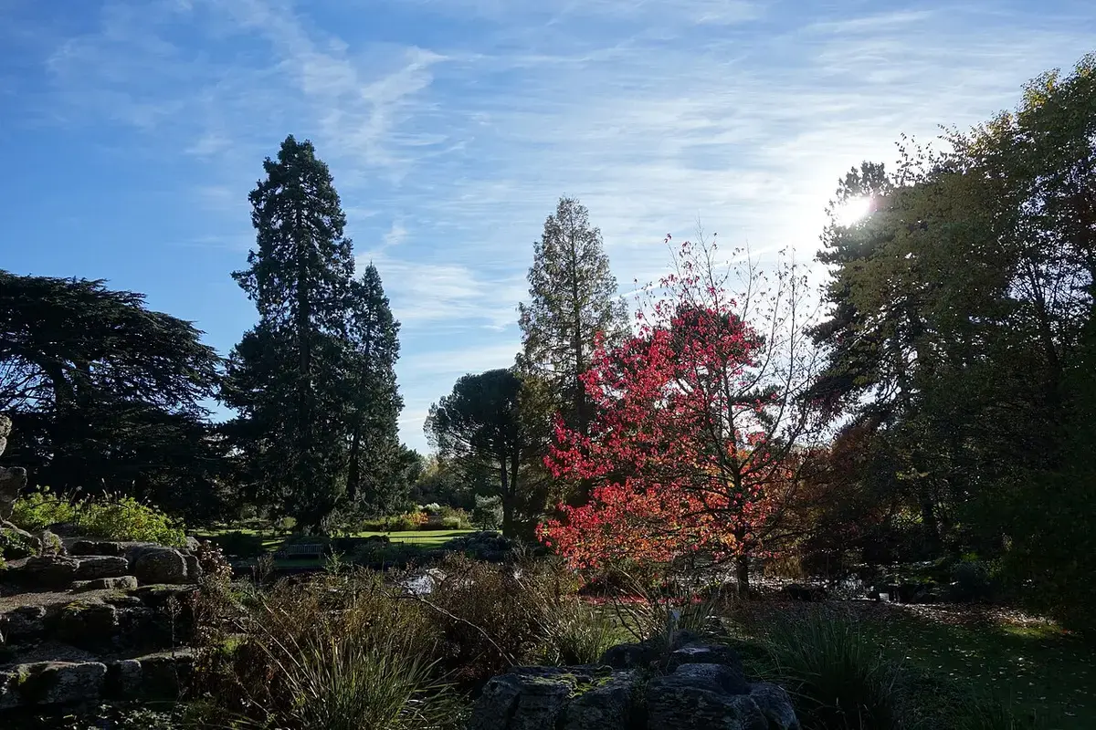 Cambridge University Botanic Garden — Park, Petersfield, Cambridge